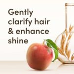 Aveeno Clarify and Shine Apple Cider Vinegar Scalp Soothing Shampoo for all Hair Types 300ml